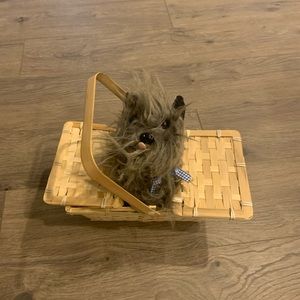 Toto and his basket- perfect accessory for Wizard of Oz costume.